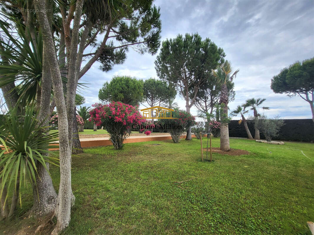 Maison à MARSILLARGUES