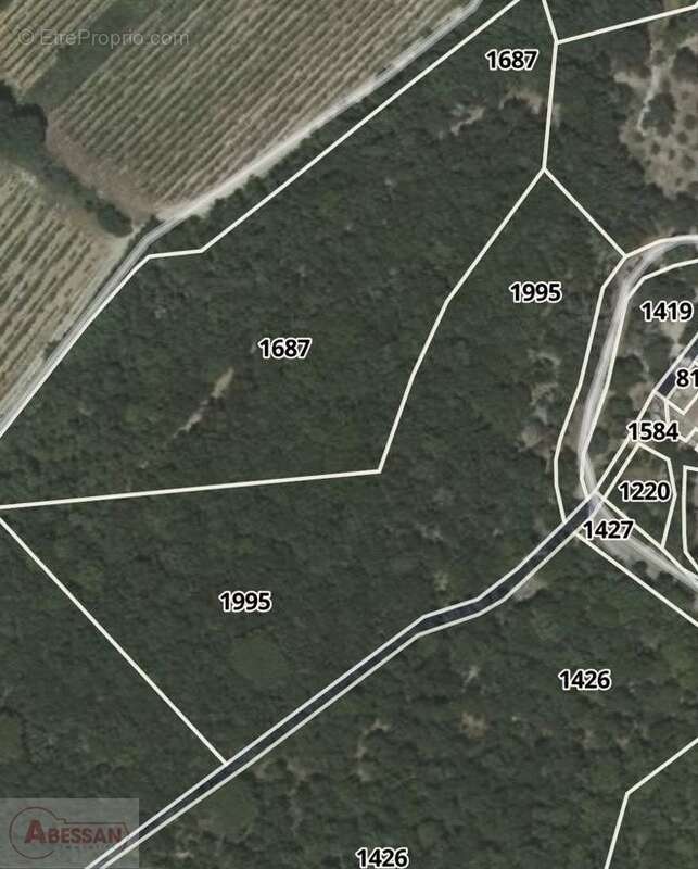 Terrain à MONOBLET
