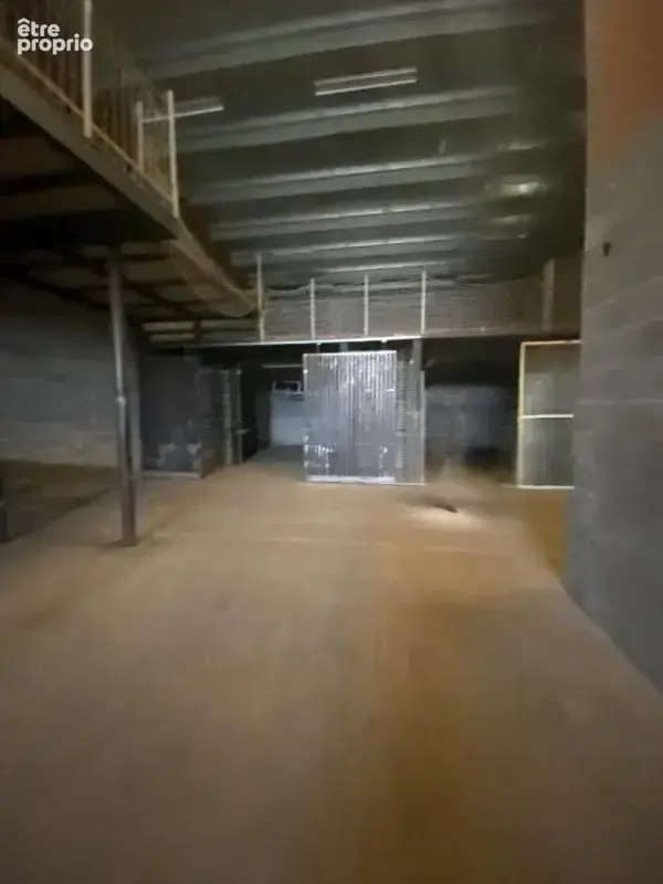 Commerce 1 775 m² à vendre à Saint-Alban (31140) - photo 14