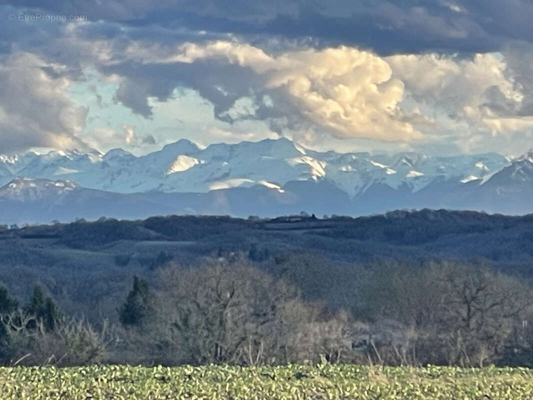 Maison et grandes bâtiments agricoles, terrain 5000m2, vue Pyrénées - photo 29