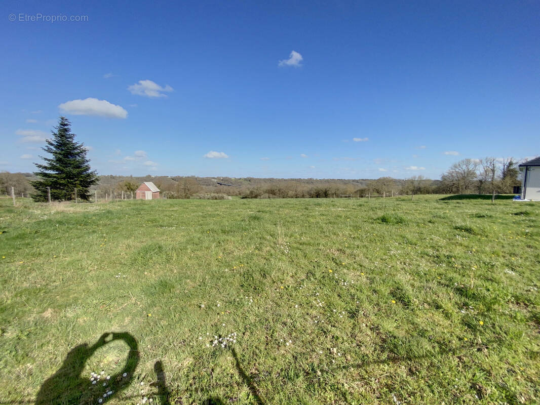 Terrain à LALONQUETTE