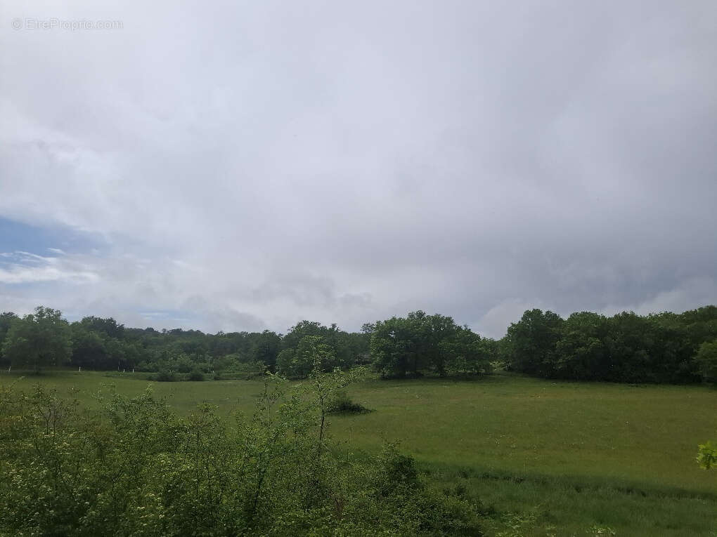 Terrain à BLIS-ET-BORN