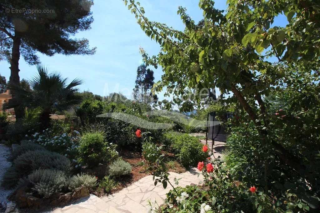 Maison à LA CROIX-VALMER