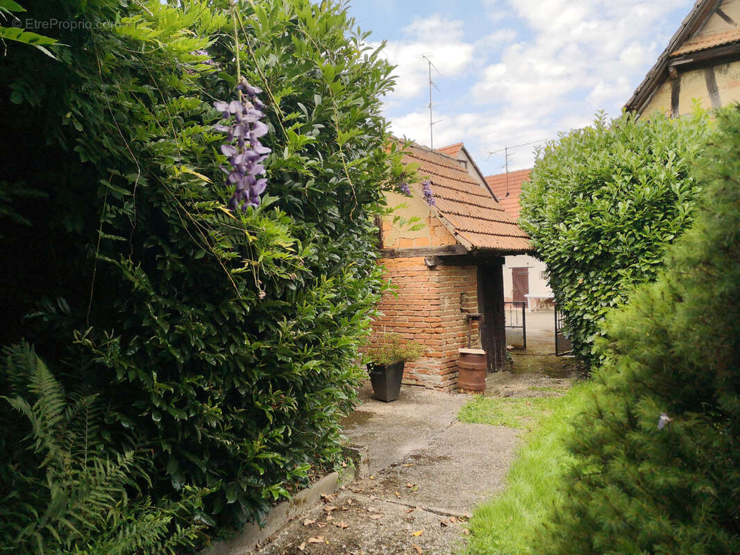 Maison à MEMMELSHOFFEN
