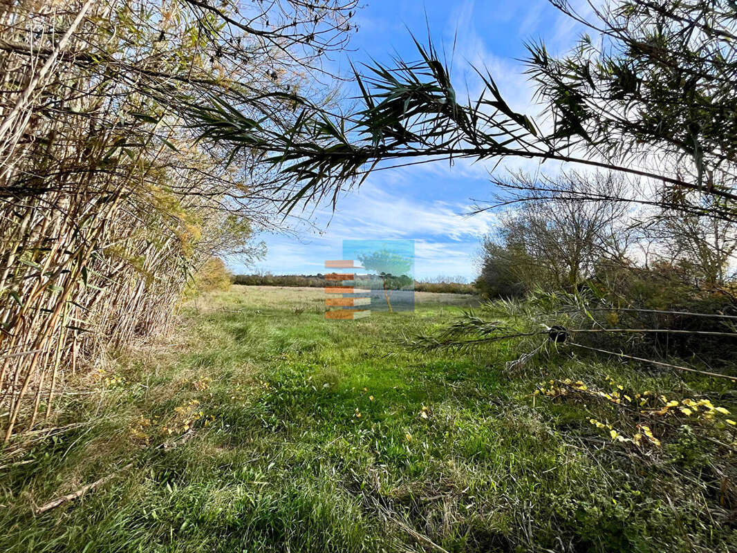 Terrain à SIGEAN