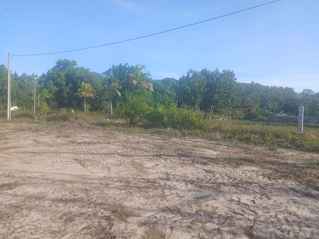 Terrain à MACOURIA