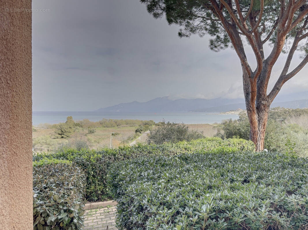 Appartement à SAINT-FLORENT