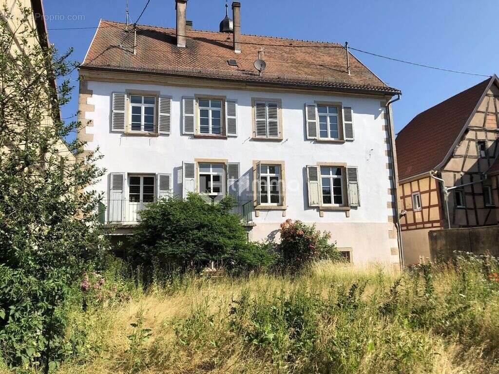 Appartement à WOERTH
