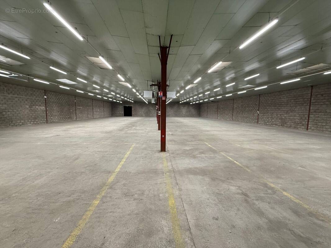 Commerce à LONS-LE-SAUNIER