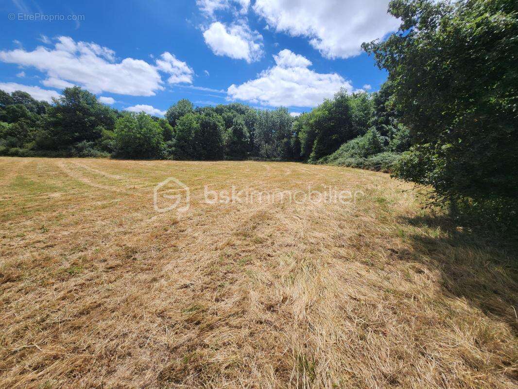 Terrain de loisirs bord de rivière – 2860 m² – Sanxay - photo 5