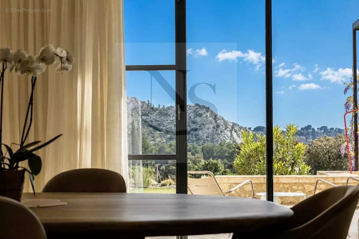 Maussane-les-alpilles / propriété de maître - photo 49