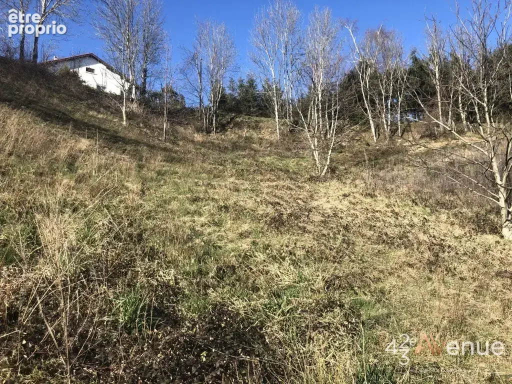 Terrain 1 246 m² à vendre à Saint-Ferreol-D'auroure (43330) - photo 5