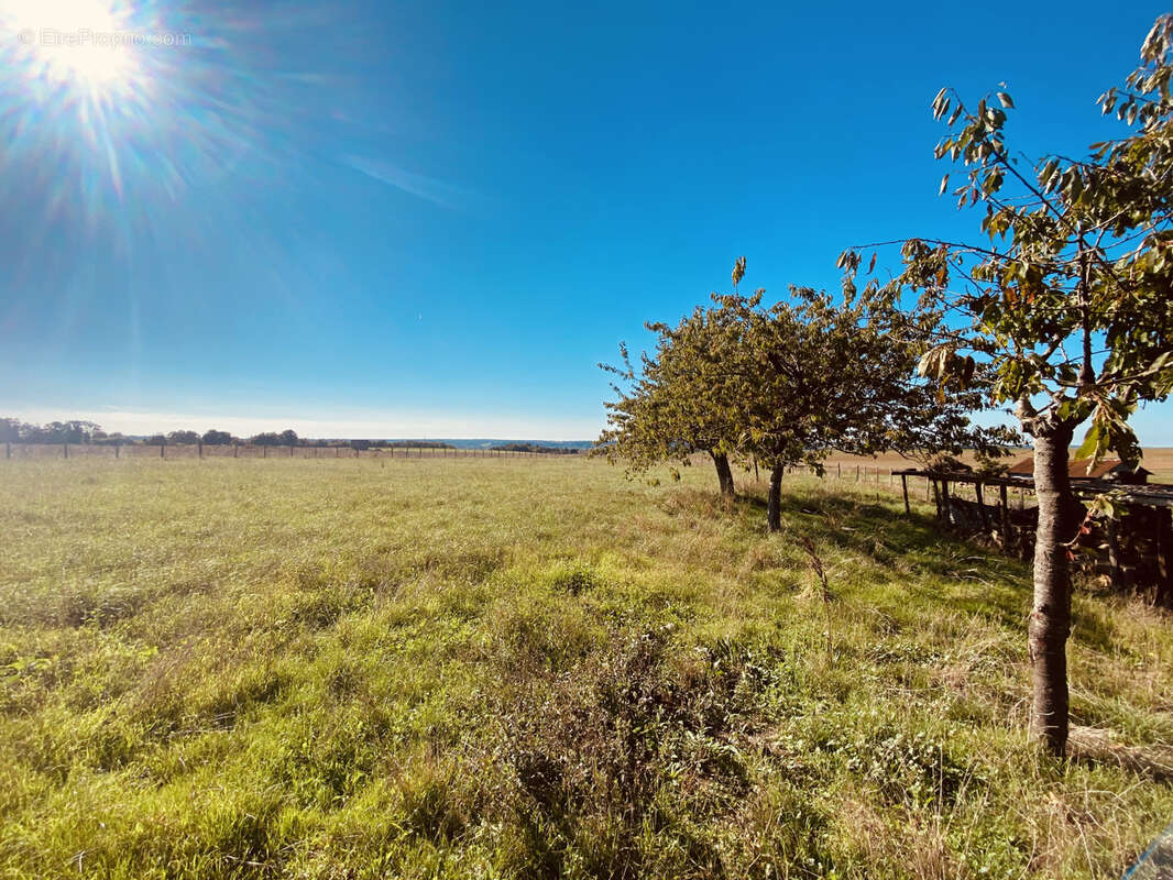 Maison à MONTOIRE-SUR-LE-LOIR