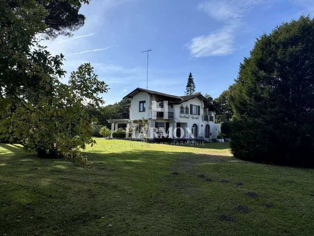Harmon a vendre : propriété a Magescq - photo 5