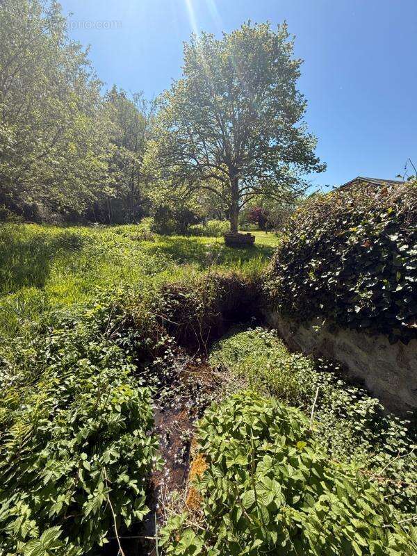 MAGNIFIQUE Moulin de Peurousseau 142m², 4 chambres sur terrain de 4663m² 149 000 € - photo 71