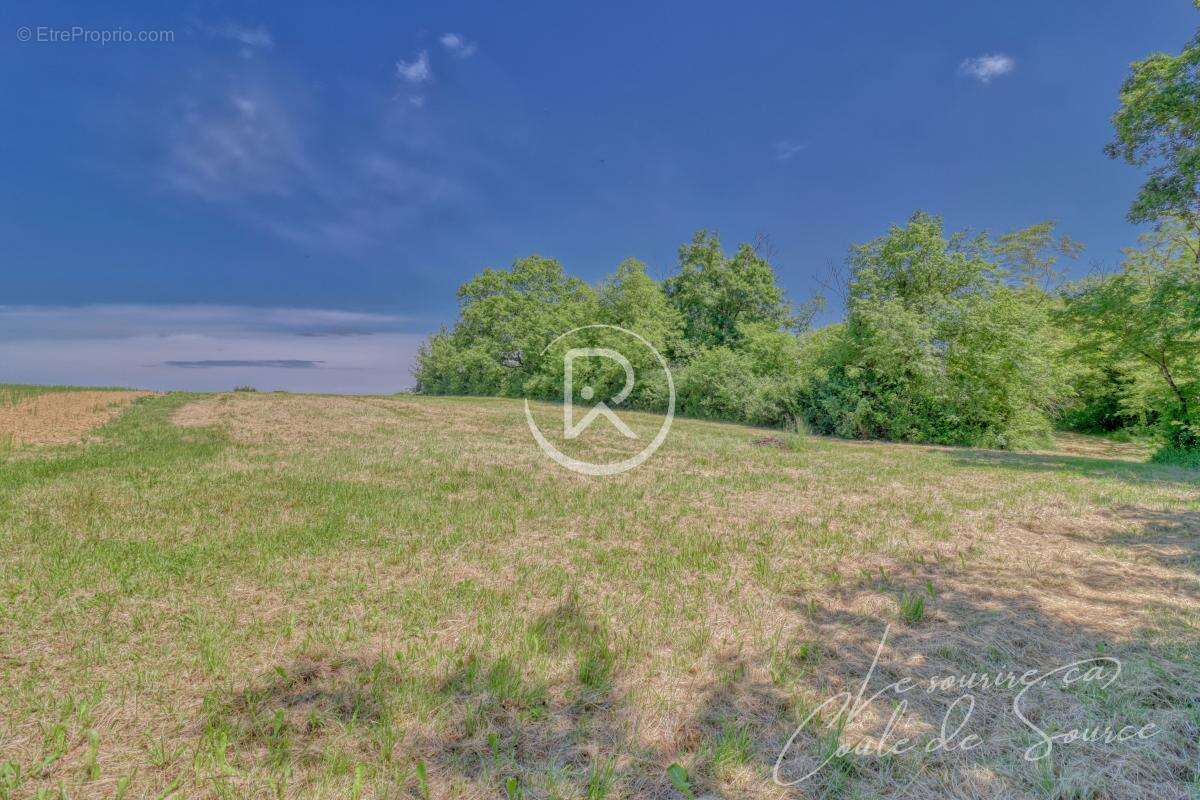 Terrain à BEAUMONT-DE-LOMAGNE