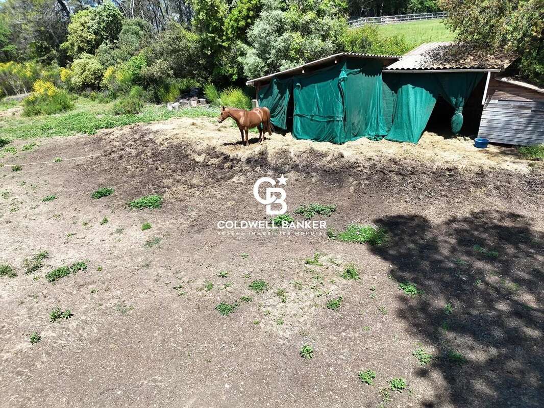 Maison à SAINT-ANTONIN-DU-VAR