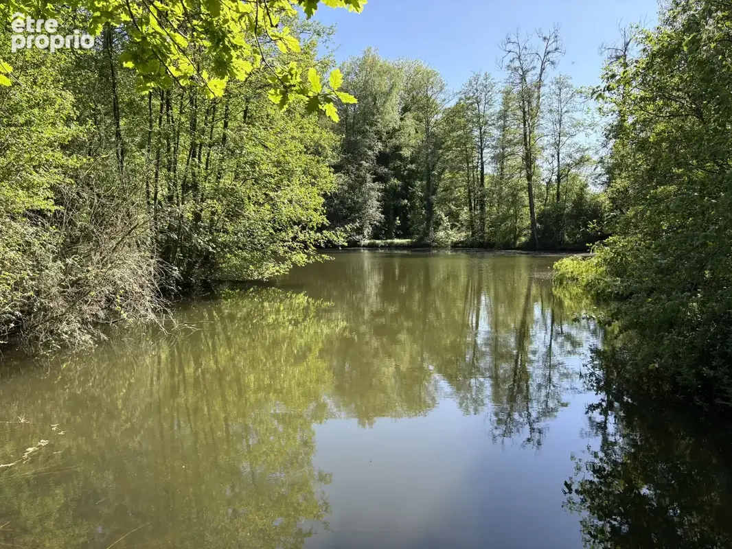 Nouveaute chalet dans un cadre idilique sur la commune de mareuil caubert - photo 7