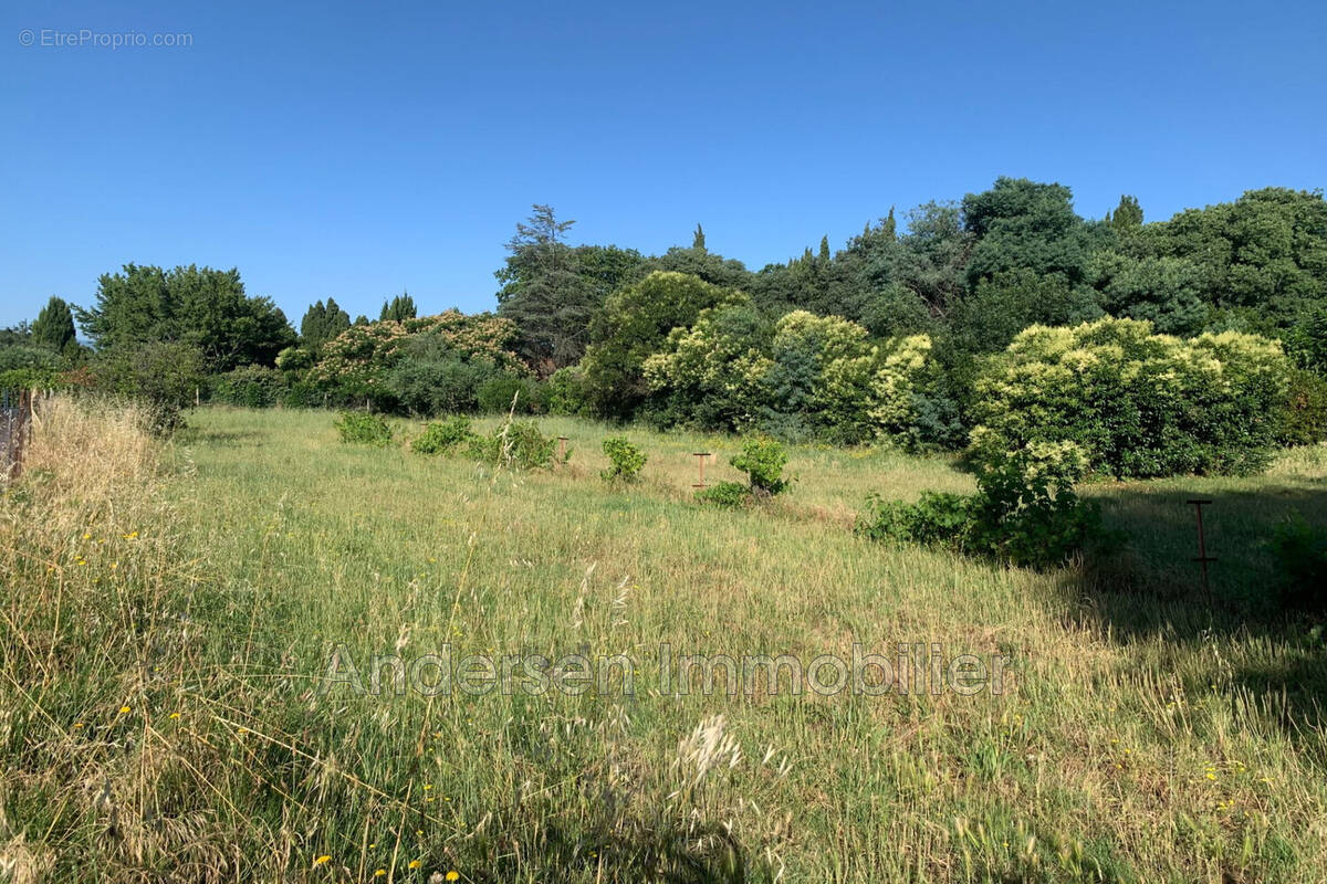 Terrain à PALAU-DEL-VIDRE