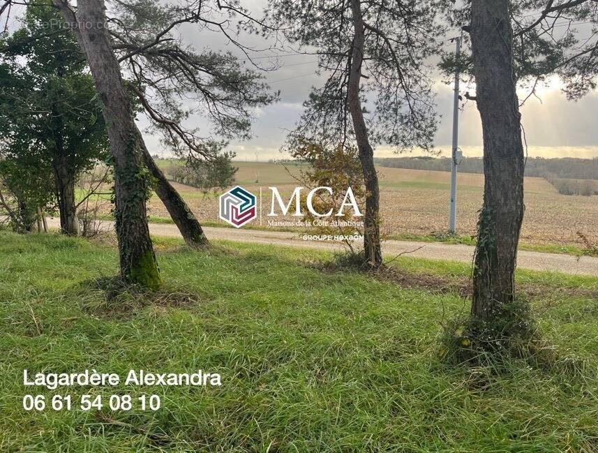 Terrain à ESCASSEFORT