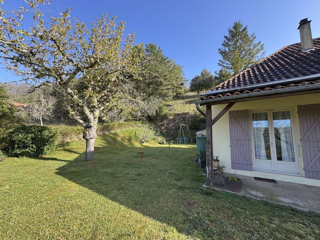 IMG2253 - Maison à SAINT-CYPRIEN