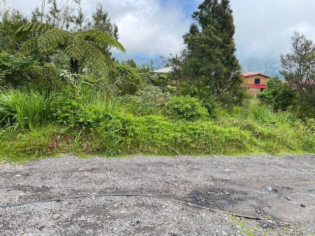 Terrain à LA PLAINE-DES-PALMISTES