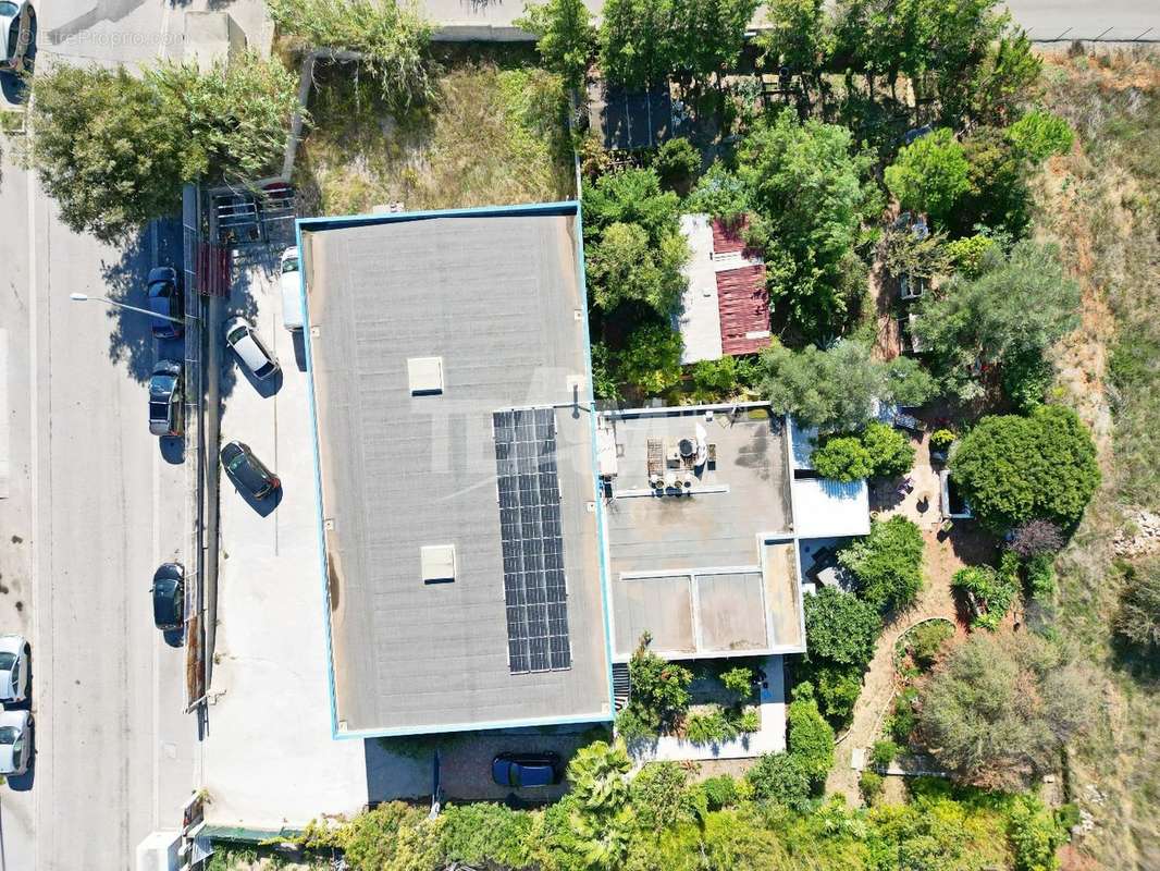 Maison à FRONTIGNAN