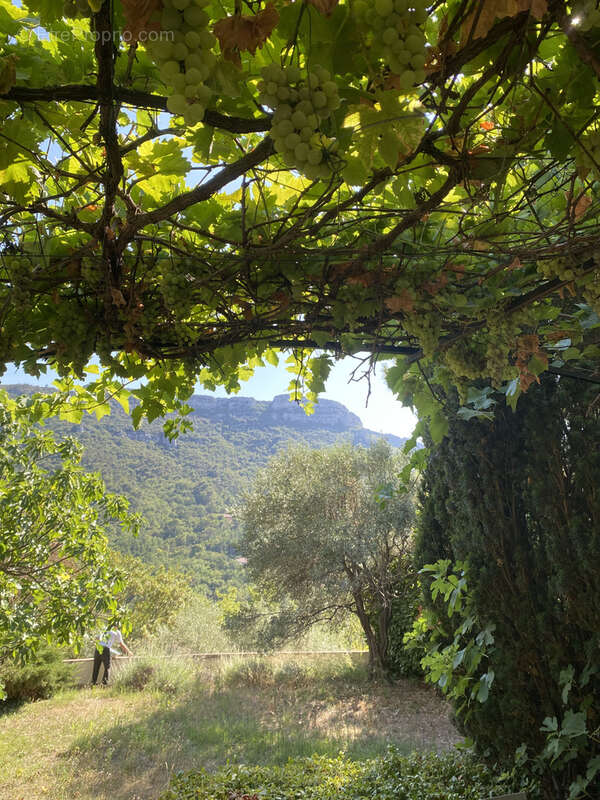 Calme et vue dégagée sur collines. - photo 19