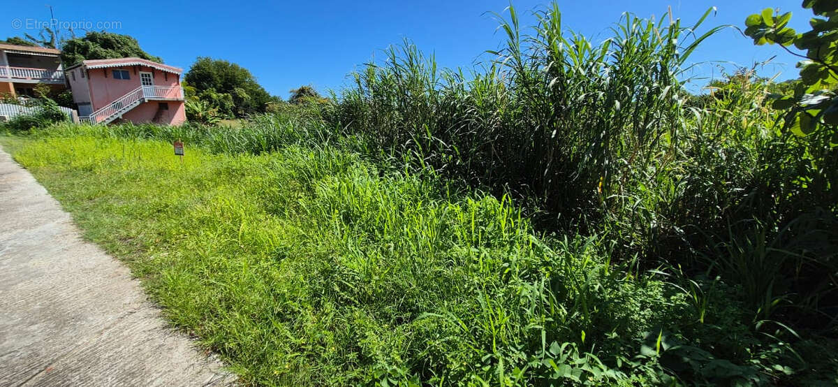 Terrain à LE VAUCLIN