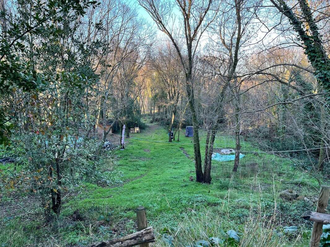 Photo 9 - Maison à MAUREILLAS-LAS-ILLAS