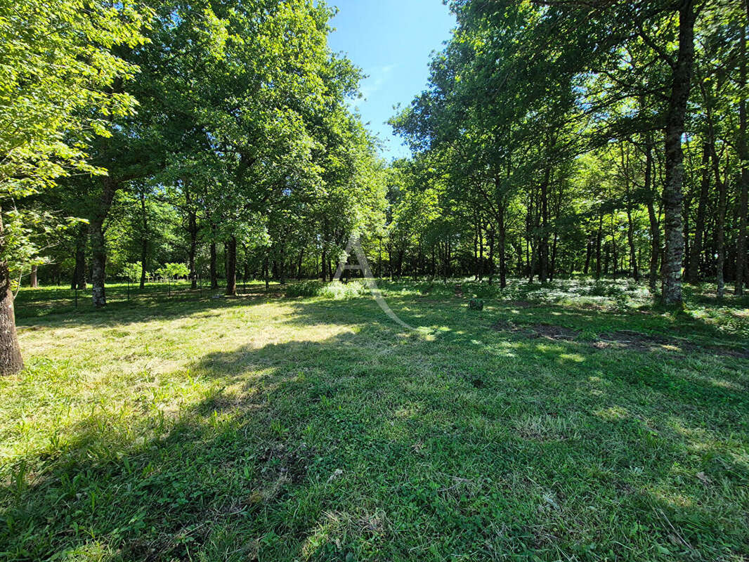Villeneuve de Marsan - photo 15