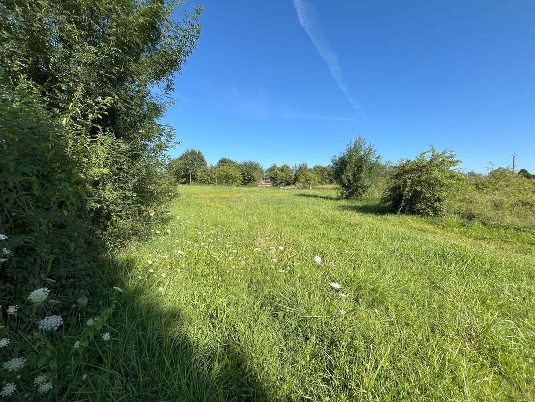 Terrain à BOISSEY