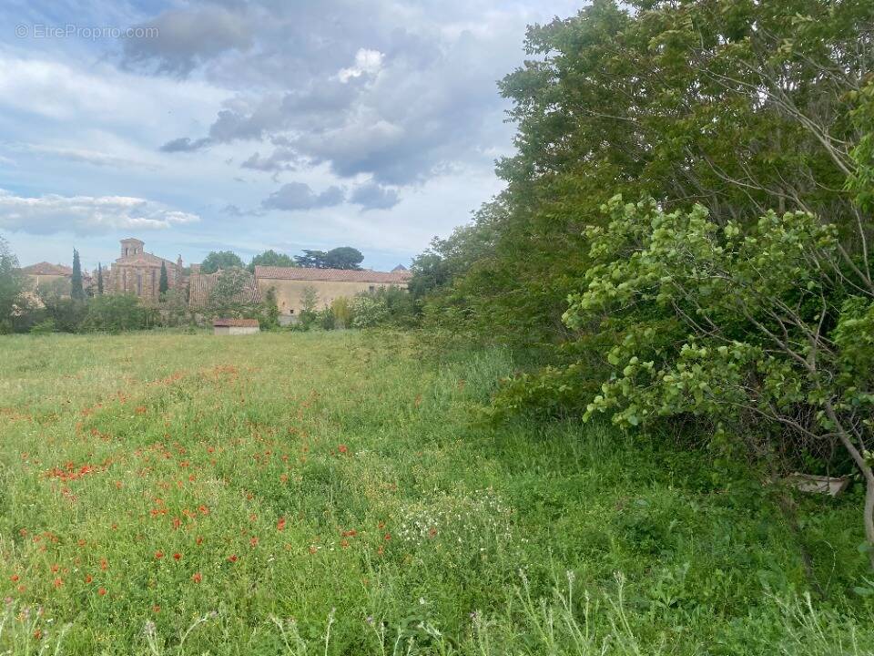 Terrain à THEZAN-DES-CORBIERES