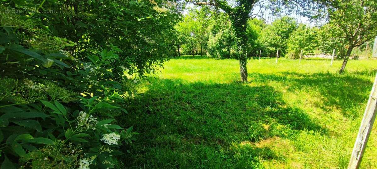 Maison à LA GUERCHE-SUR-L&#039;AUBOIS