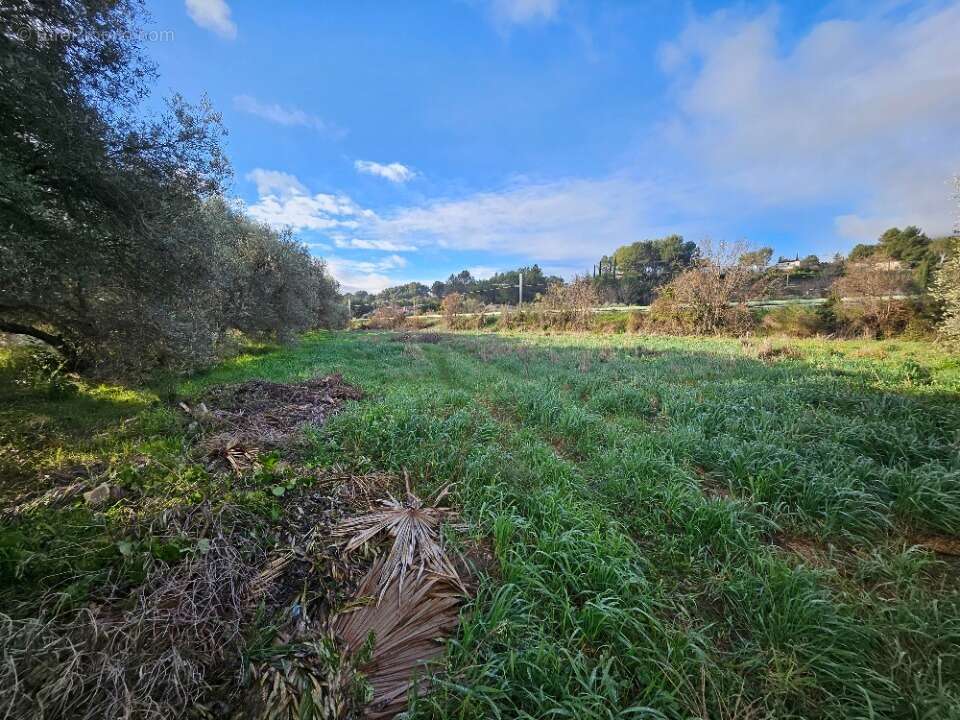 Terrain à ROQUEVAIRE