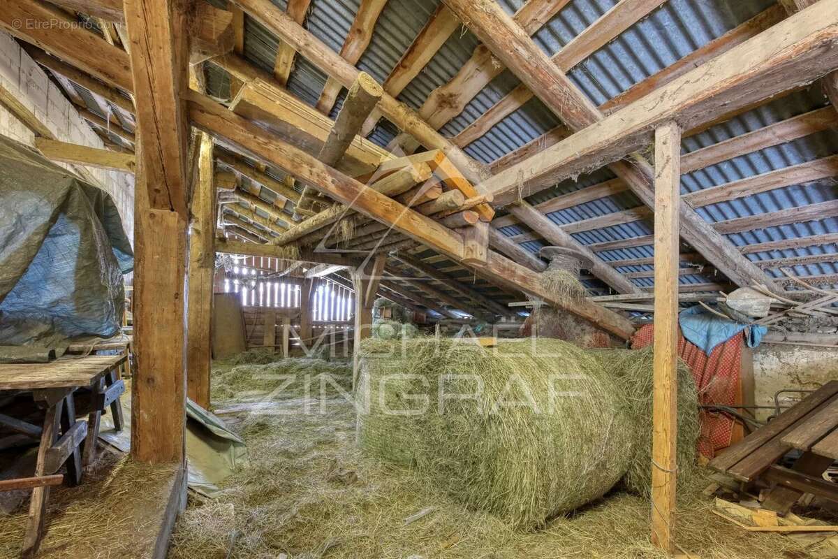 Maison à DEMI-QUARTIER