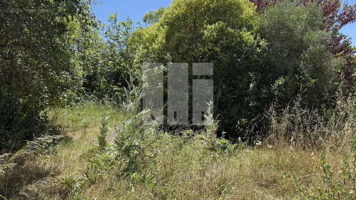 Mougins proche vieux village et commerces terrain constructible - photo 3