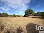 Photo 1 - Terrain à SALLES-D&#039;AUDE