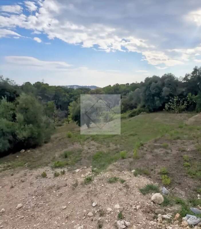 Terrain à MOUGINS