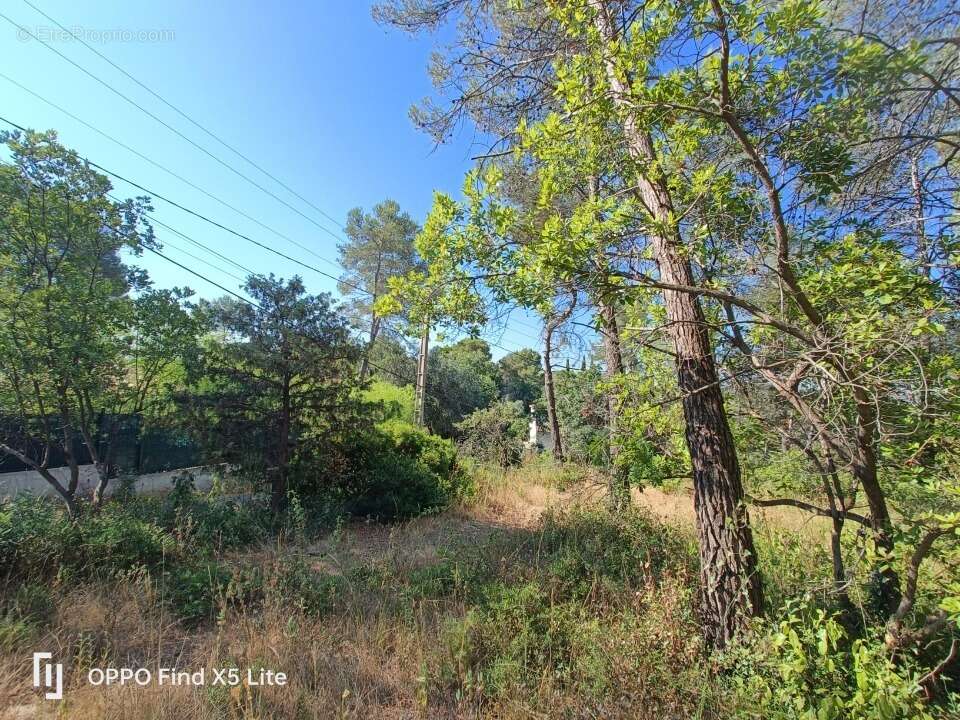 Terrain à BAGNOLS-EN-FORET