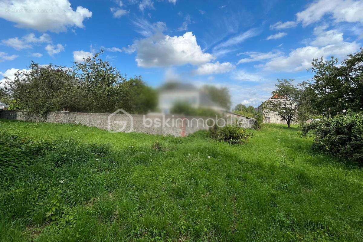 Ensemble de terrains en zone naturelle – 20 703 m² - photo 3