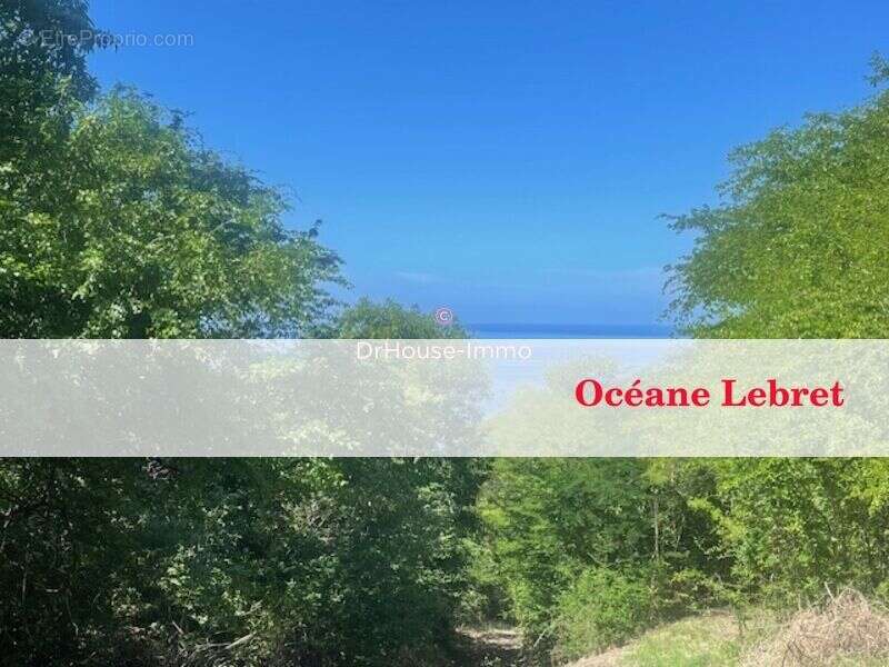 Terrain à BOUILLANTE