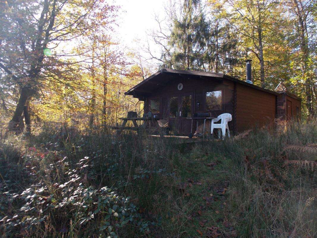 Terrain à LA CHAPELLE-MONTBRANDEIX
