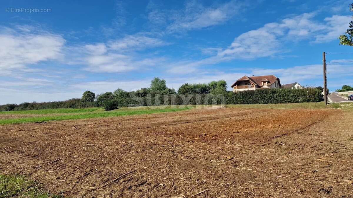 Terrain à AVRIGNEY-VIREY