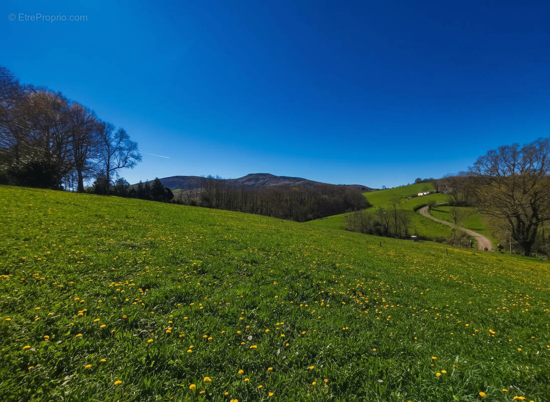 Terrain à HASPARREN