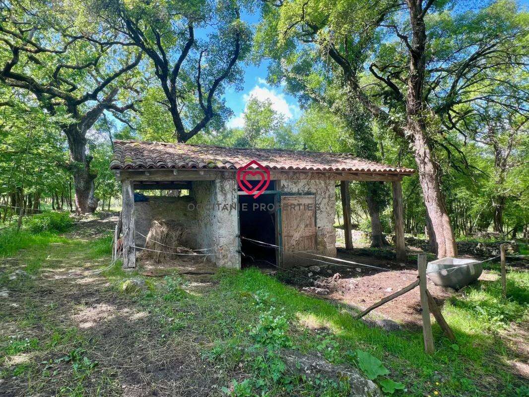 Maison à LE MAS-D'AZIL