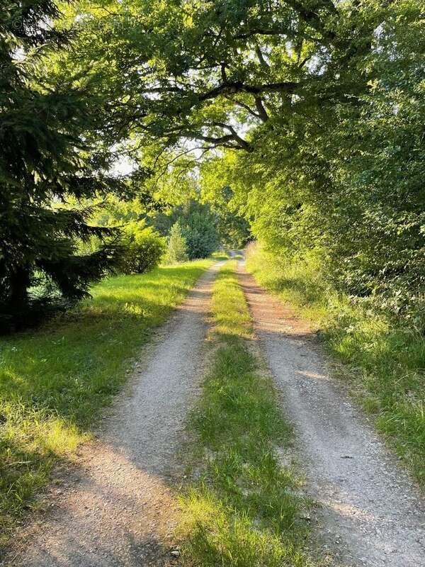Terrain à SAINT-ULRICH