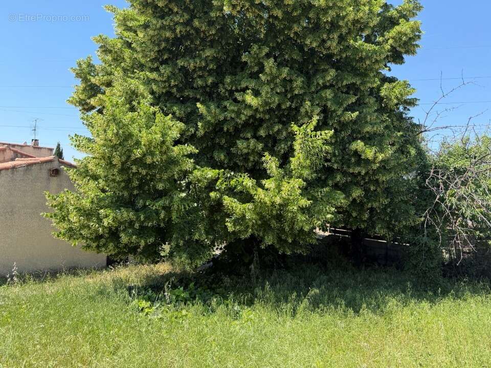Terrain 343 m² à Gardanne  - photo 2