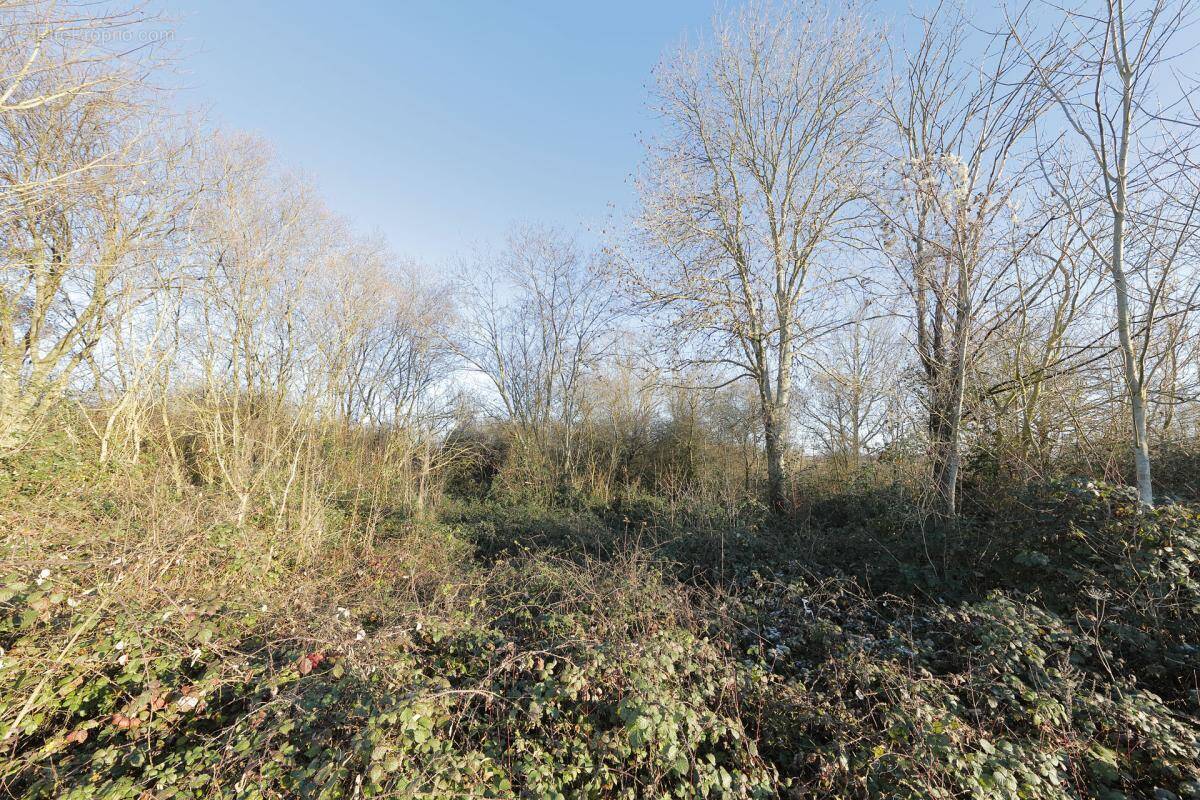 Terrain à PRESLES-EN-BRIE