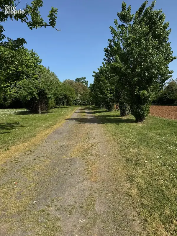 Terrain 918 m² à vendre à Sainte-Hermine (85210) - photo 2